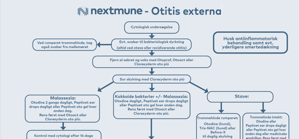 Otitis externa thumbnail
