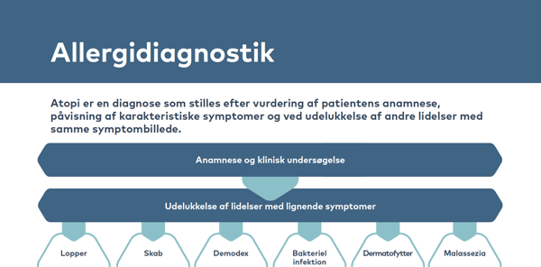 Allergidiagnostik thumbnail