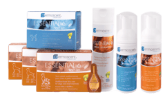 essential-1-1