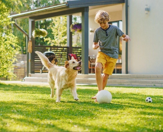 Ung gutt spiller fotball med en glad golden retriever på plenen i hagen.