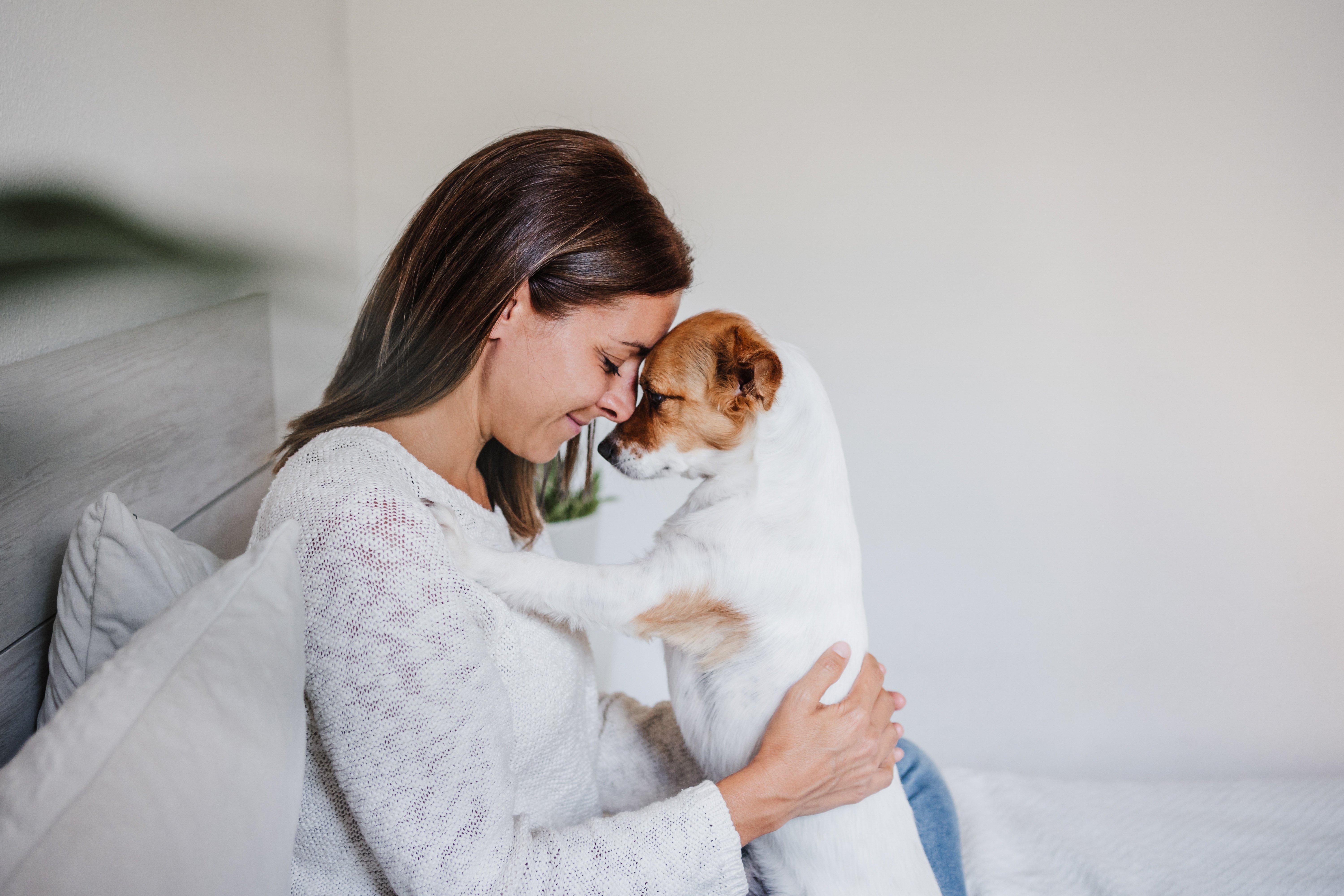 Kvinne og hund panne mot panne