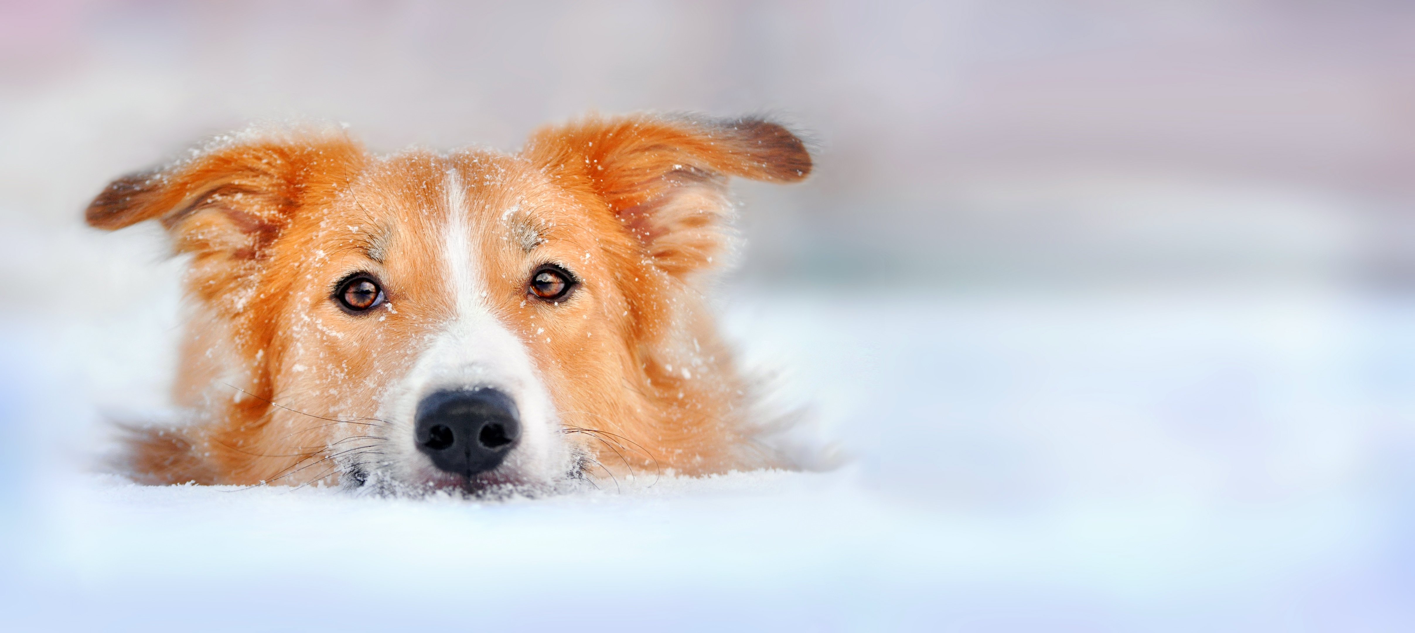 AdobeStock_46802596 (2)