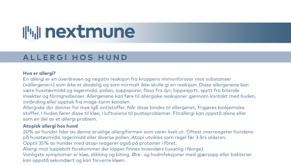 Allergi-hos-hund-NO