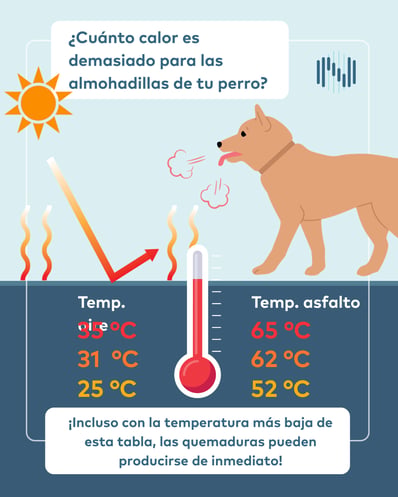ES - temperatura asfalto