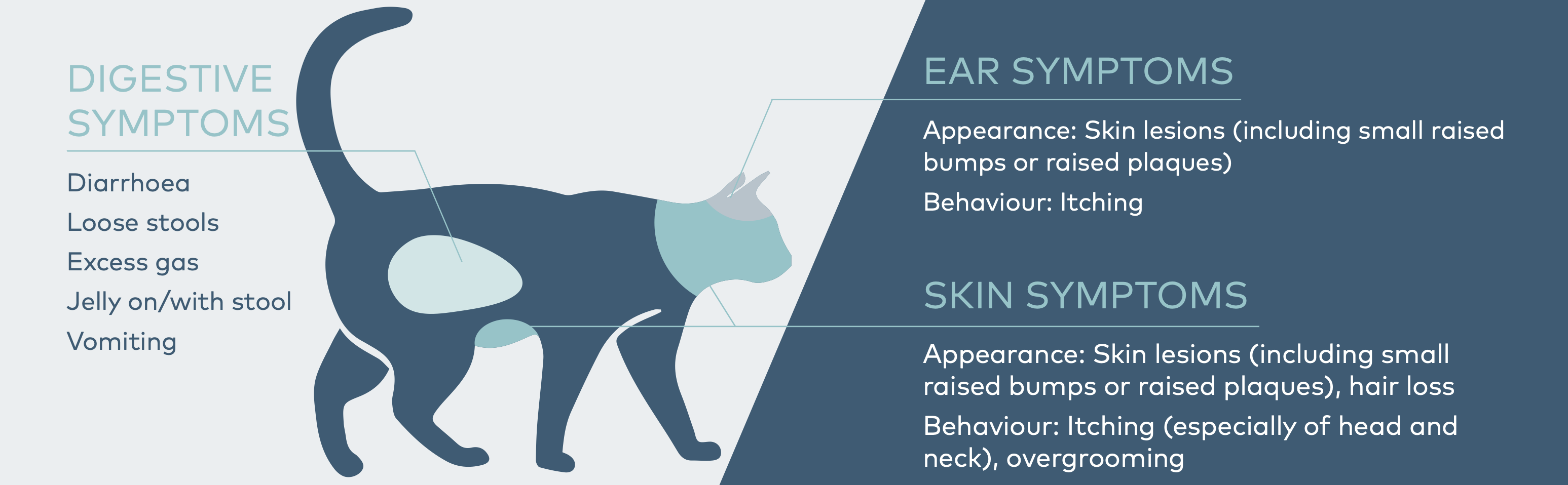 IN005 - Diet Trial For Cats Advice Sheet