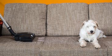 shutterstock_627640307-blog
