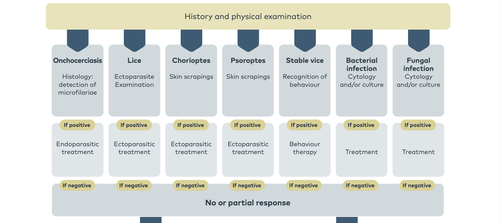 NEX003 - Allergy Diagnosis Flowchart Horse