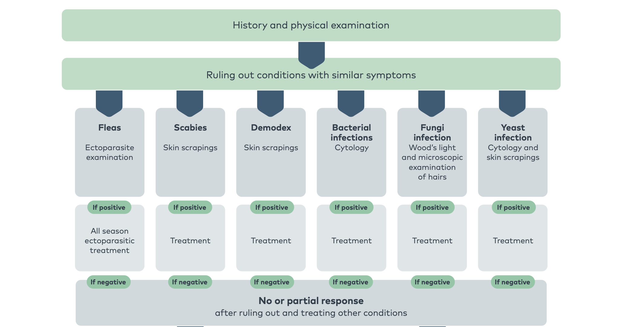 NEX003 - Allergy Diagnosis Flowchart Pet
