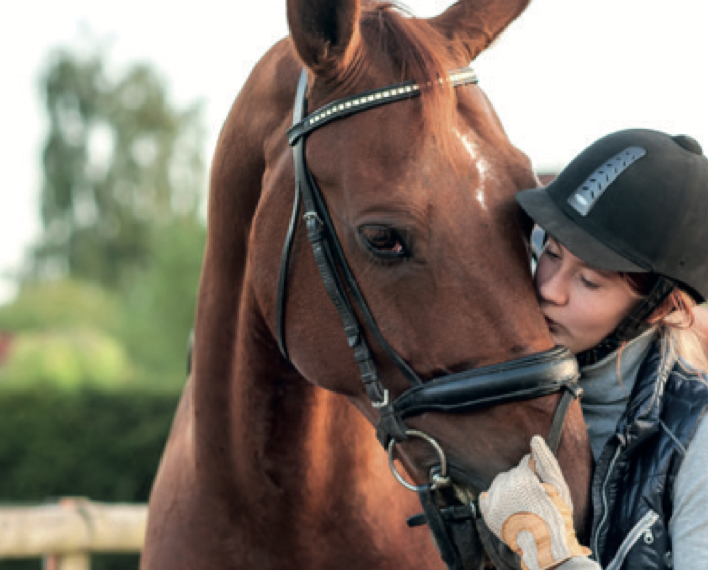 NEX003 - Artuvetrin Diary Horse