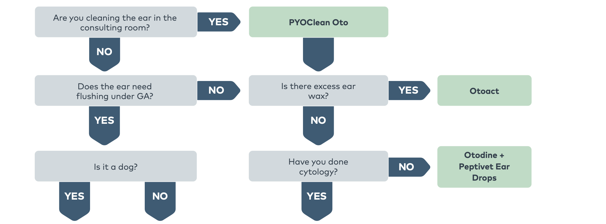 NEX079 - Ear Preps Flowchart A3L
