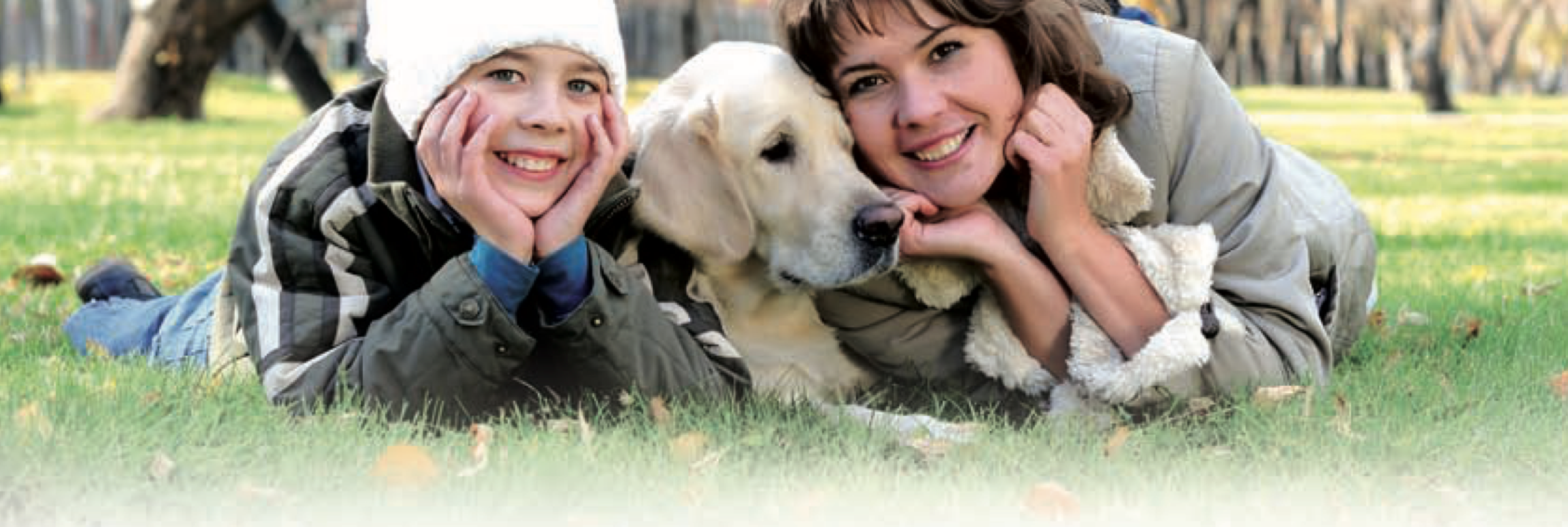 NEX086 - Artuvetrin Injection Technique