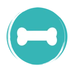 BUTTONS AdobeStock_384136993-04