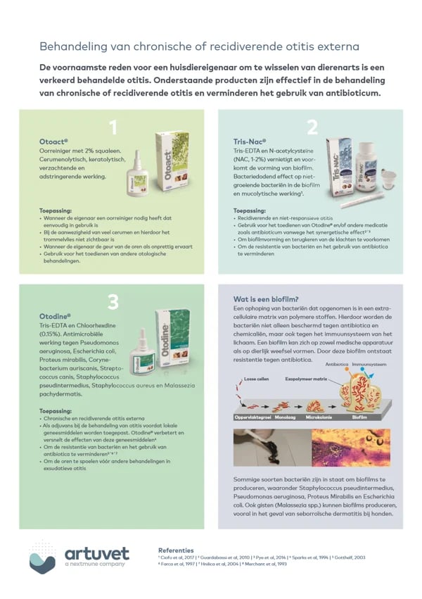 Flyer chronische otitis