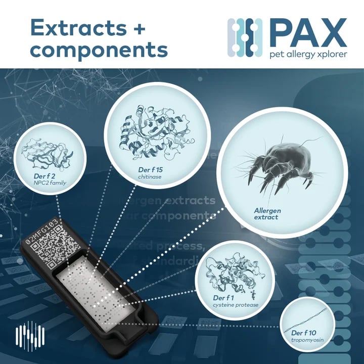 PAX intro_Extracts vs components_1080x1080px_v3 (1)