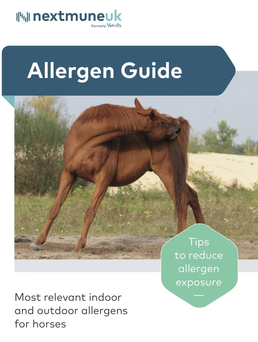 Screenshot 2023-02-27 at 16.10.34-1