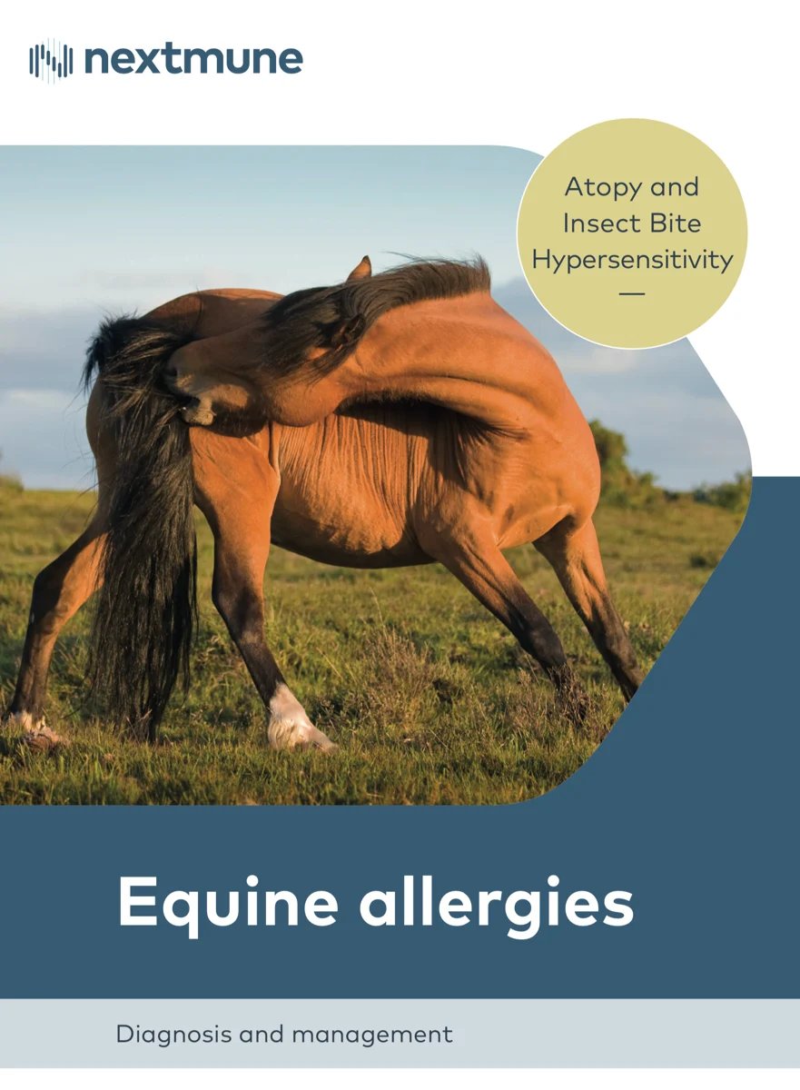 Screenshot 2023-02-27 at 16.11.18-1