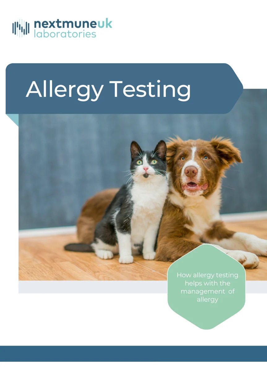 Screenshot 2023-04-26 at 15.19.54-1