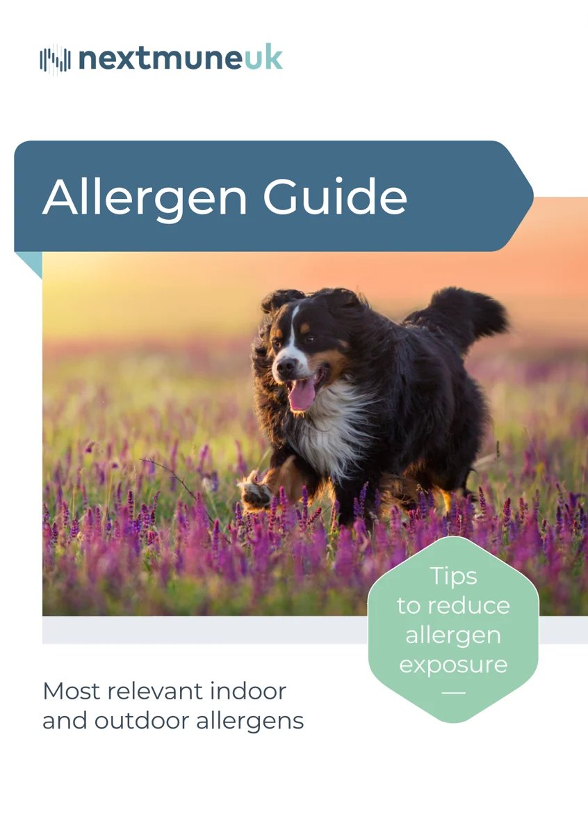 Screenshot 2023-04-26 at 15.34.16