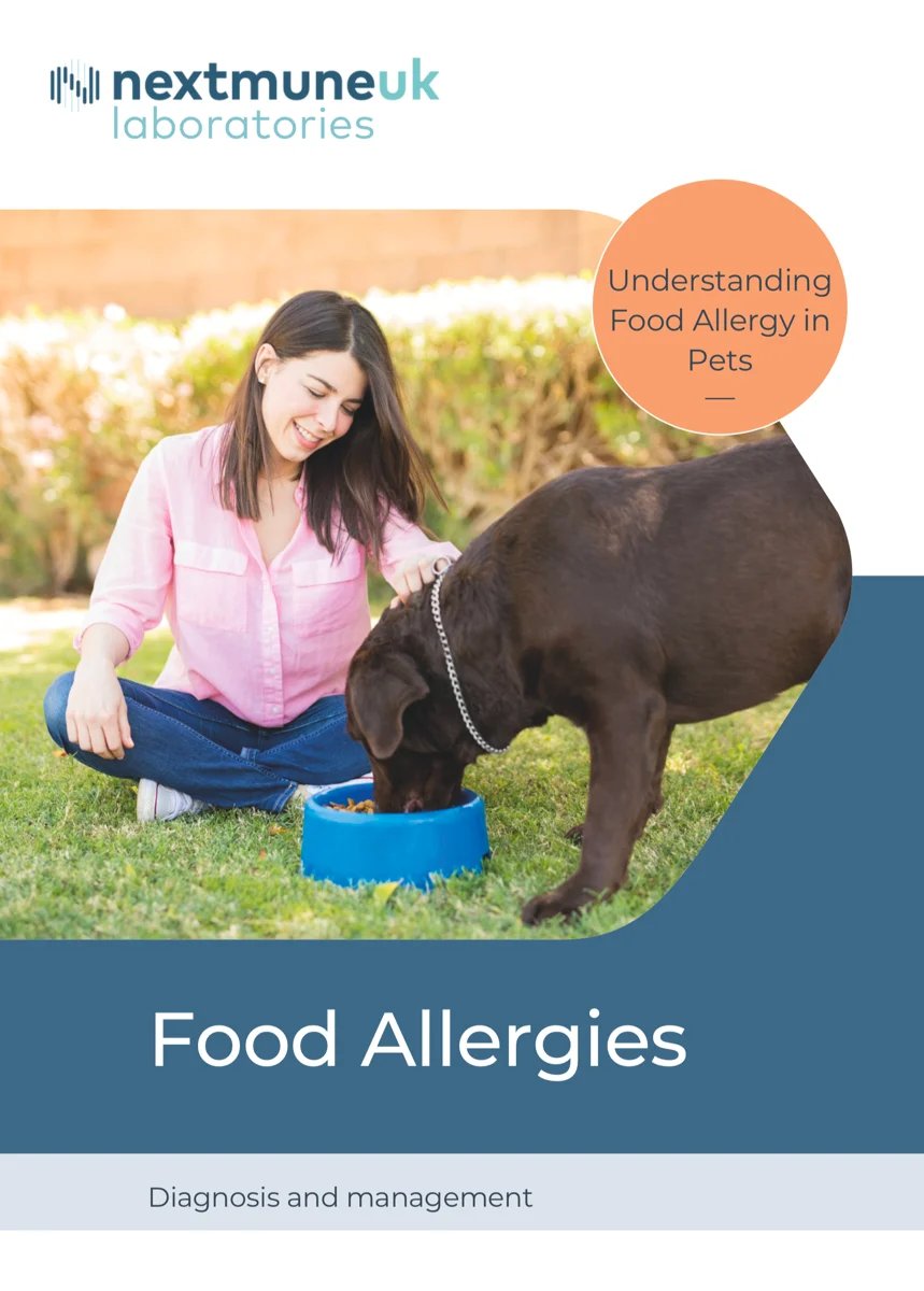 Screenshot 2023-04-26 at 15.40.49