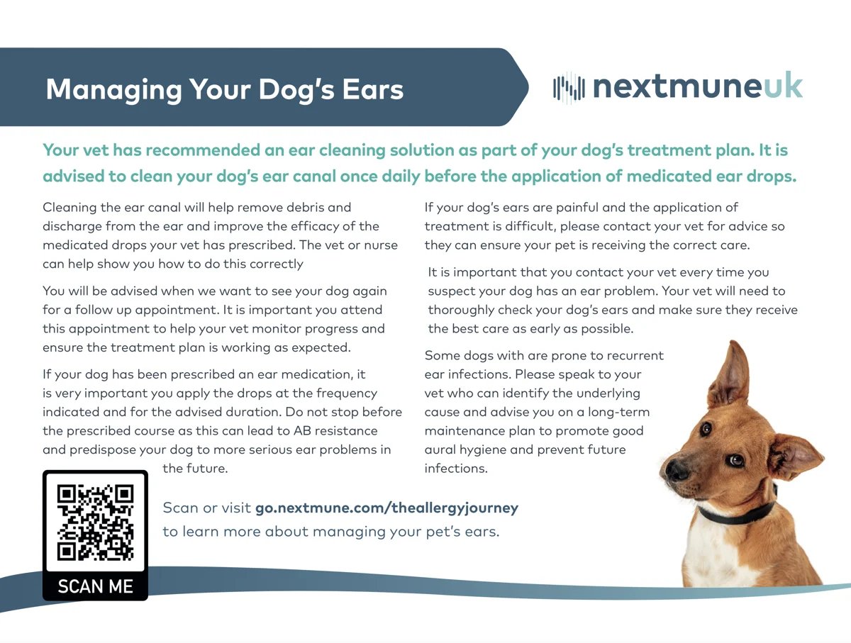 Screenshot 2023-05-19 at 11.42.22