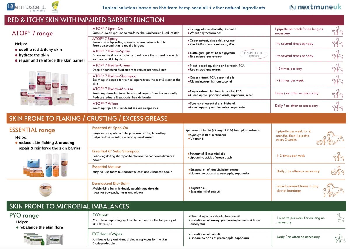 Screenshot 2023-05-19 at 11.49.24