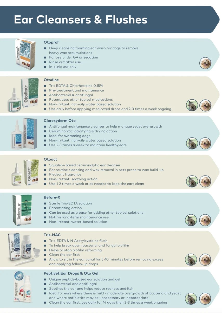 Screenshot 2023-05-19 at 16.03.02-1