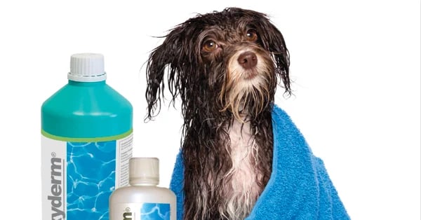 Clorexyderm Shampoo