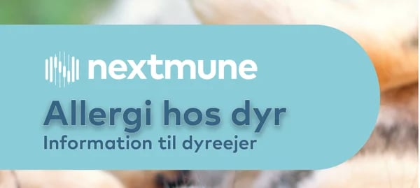 Allergi hos dyr