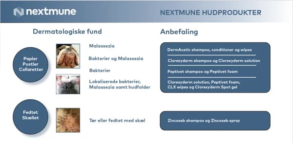 Dermatologiske fund