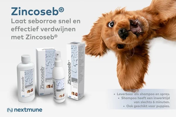 ad zincoseb