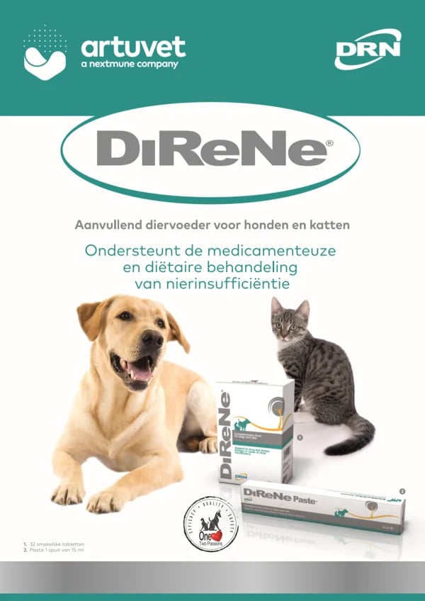 brochure direne