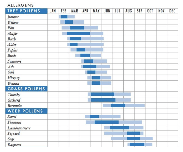 Screenshot 2022-06-15 at 09.58.39