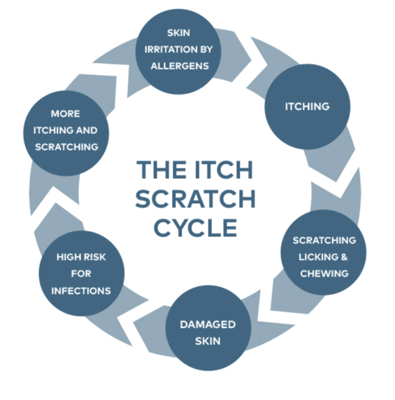 Screenshot 2022-06-22 at 12.16.18