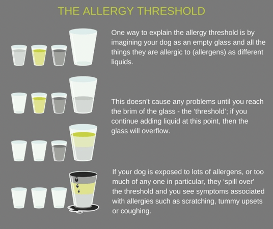 Screenshot 2022-06-22 at 12.24.26