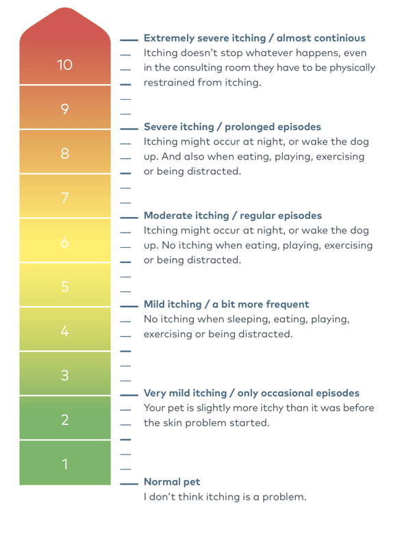 Screenshot 2022-07-21 at 15.33.21