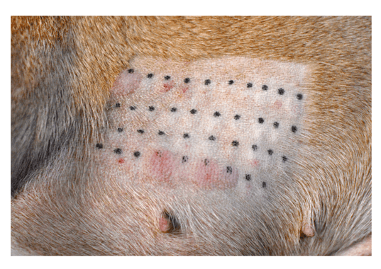 Screenshot 2022-07-21 at 16.24.26