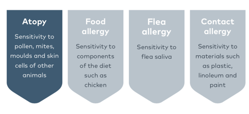 Screenshot 2022-07-23 at 15.30.26