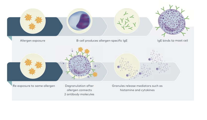 Screenshot 2022-07-23 at 15.33.00