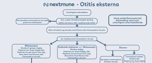 Øreprotokoll