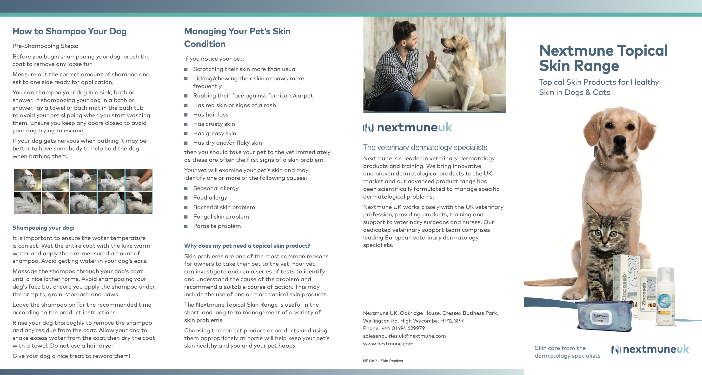 Screenshot 2024-10-08 at 13.00.50