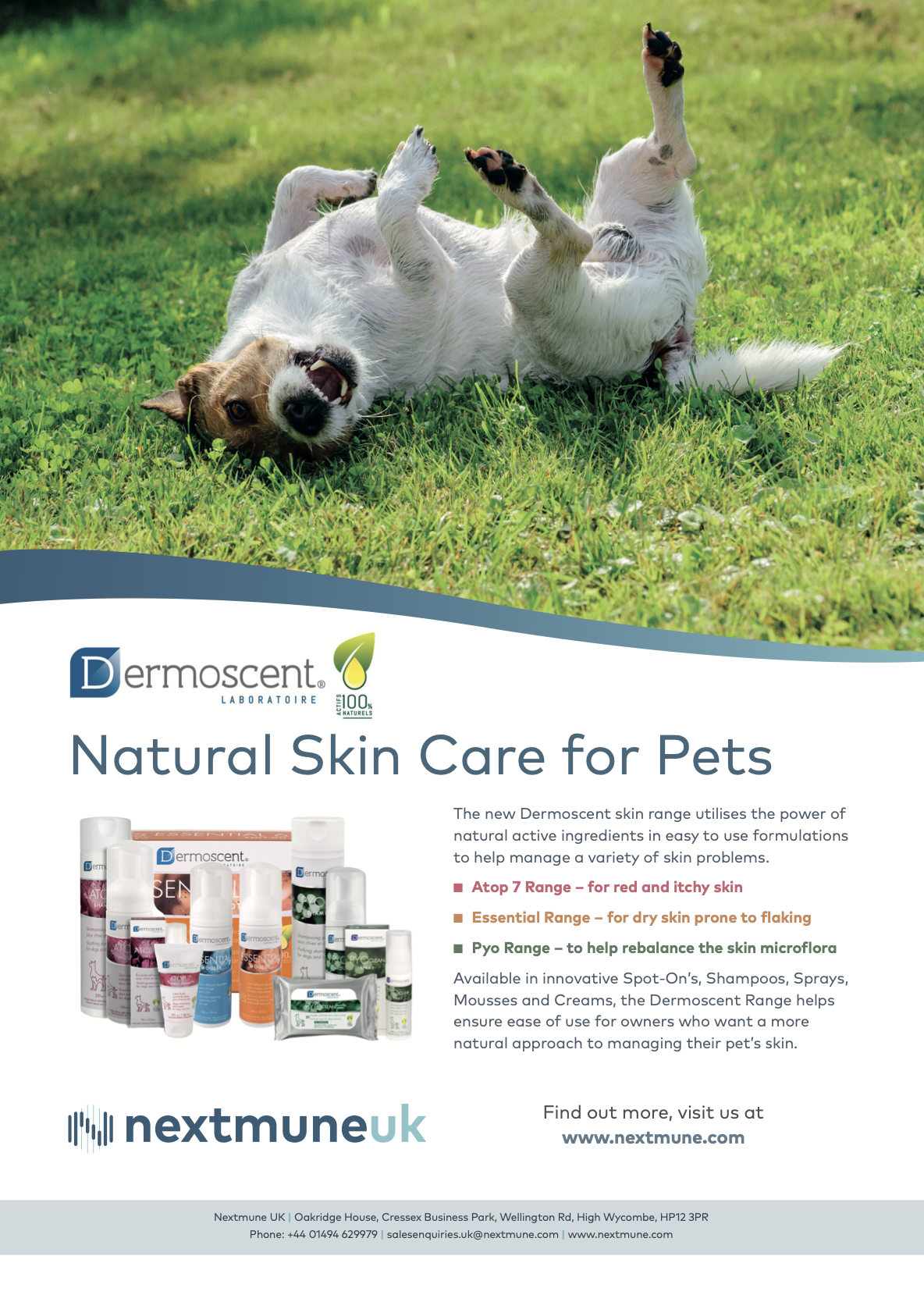 Screenshot 2024-10-08 at 13.04.34