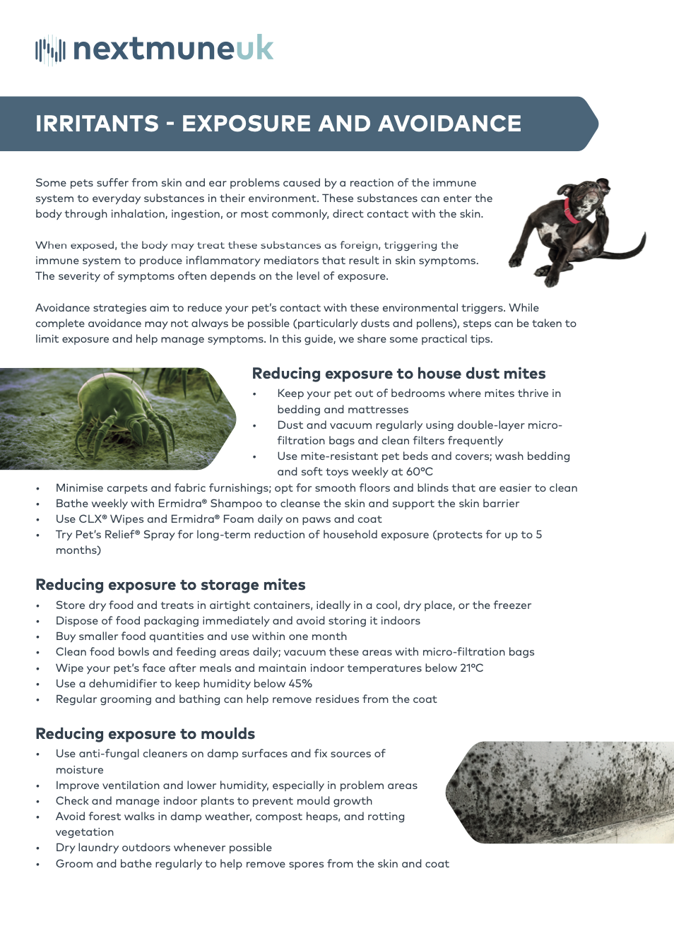 NEX117 - AAM - Allergy Avoidance factsheet