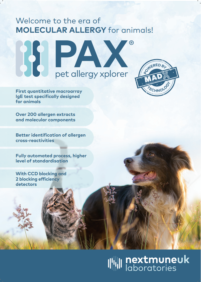 Screenshot 2025-10-08 164748