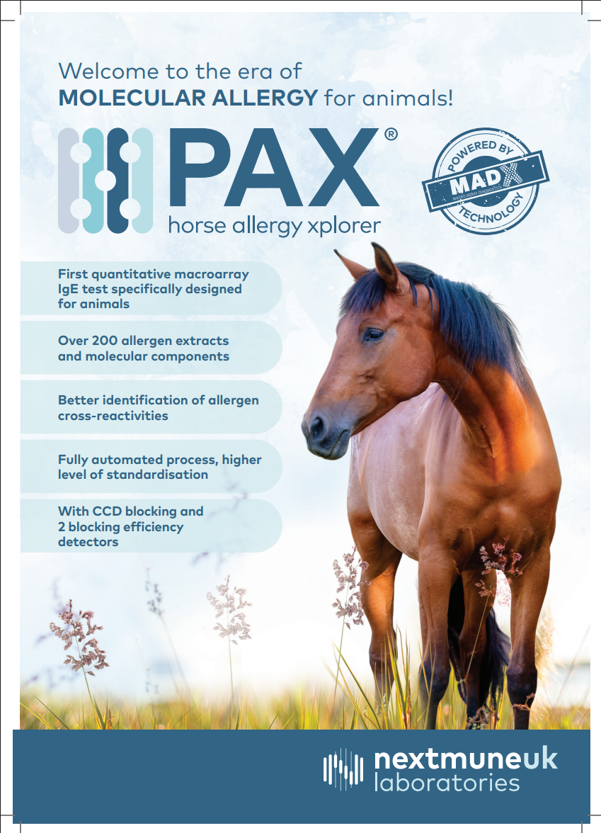 Screenshot 2025-10-08 164848