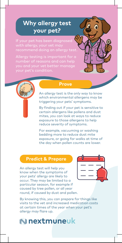 Screenshot 2025-10-08 164929