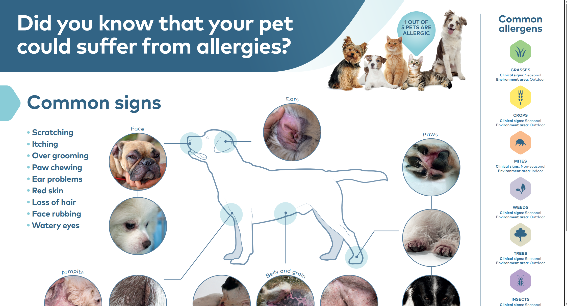 Screenshot 2025-10-08 165229