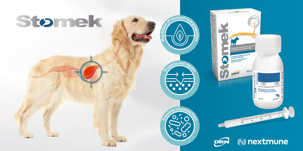 Stomek News1600x800px_v1