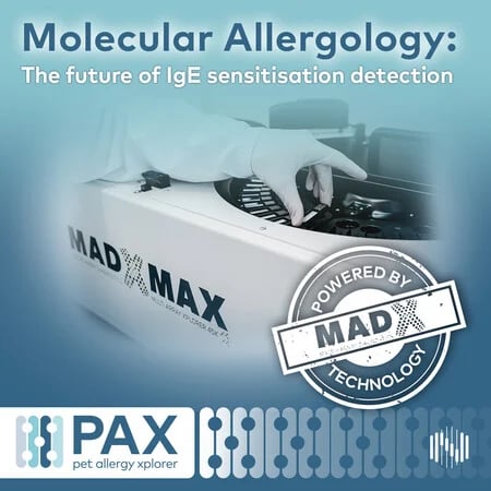 big-PAX intro_Molecular allergy _1080x1080px_v2-1