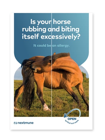 flyer-pet-allergies-horse-EN