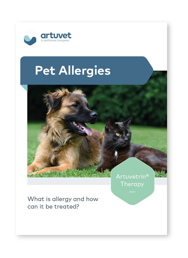 pet-allergies